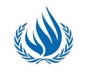 HLC Sends Report to UN Committee Against Torture on Situation in Serbia