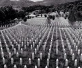 Legal protection for the denial of genocide in Srebrenica