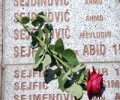 23 godine od genocida u Srebrenici – Država Srbija da okonča odugovlačenje sudskog postupka i da prestane da omalovažava i umanjuje zločin