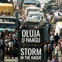 Oluja u Hagu