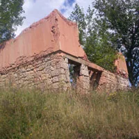 kukurovic